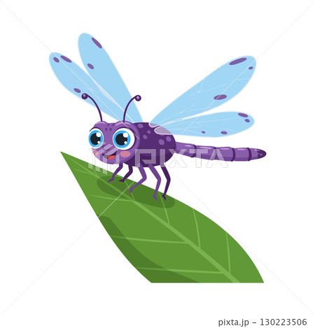 Purple dragonfly with big eyes sitting on green leaf vector illustration Purple dragonfly with big eyes sitting on green leaf vector illustration 130223506