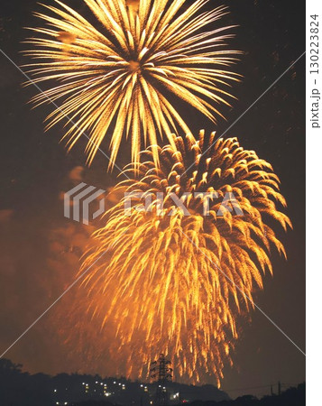 夜空に咲く大輪の花火(金沢まつり 花火大会) 夜空に咲く大輪の花火(金沢まつり 花火大会) 130223824