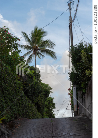 ヤシの木が見える坂道 130223889