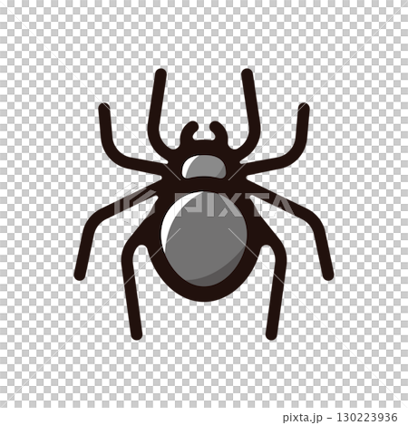 蜘蛛，蛛形綱動物插圖圖示（節肢動物，動物，昆蟲材料） 130223936