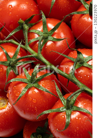 Tomatoes on Branch with Fresh Water Droplets Tomatoes on Branch with Fresh Water Droplets 130223970