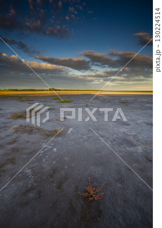Saltpeter on the floor of a lagoon in a semi desert environment, La Pampa province, Patagonia, Argentina. Saltpeter on the floor of a lagoon in a semi desert environment, La Pampa province, Patagonia, Argentina. 130224514