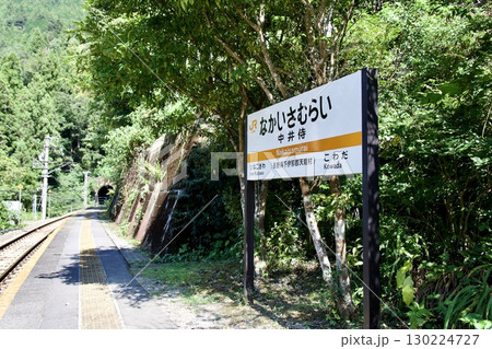 JR飯田線の秘境駅、中井侍の風景 130224727