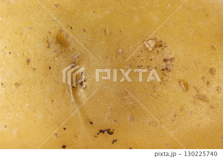 Fresh Potatoes Macro Surface For Culinary Background 130225740