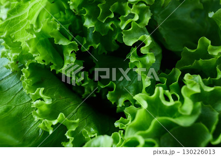 Fresh green lettuce leaves close up. High quality photo 130226013