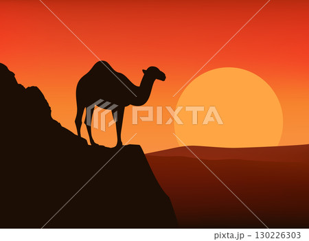 arabian camel standing at cliff at sunset over desert vector silhouette lanscape arabian camel standing at cliff at sunset over desert vector silhouette lanscape 130226303