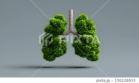 Lungs of nature:tree-shaped human respiratory system Lungs of nature:tree-shaped human respiratory system 130226933