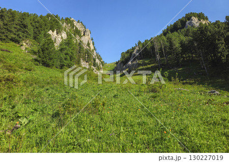 gorge, with a mountainside covered in green grass gorge, with a mountainside covered in green grass 130227019