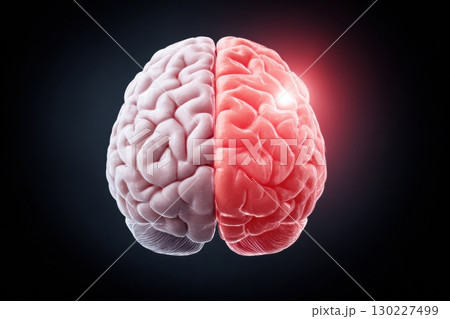 Human brain showing activity in right hemisphere on dark background 130227499