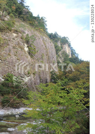 秋の石鎚山系 面河渓 130228014