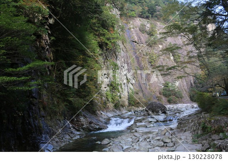 秋の石鎚山系 面河渓 130228078