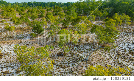 Aerial view of Samed Khao trees at Prathong island Phang Nga. 130229181