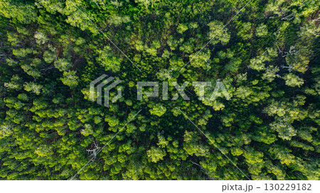 Aerial top view of Samed Khao forest at Prathong island Phang Nga. 130229182