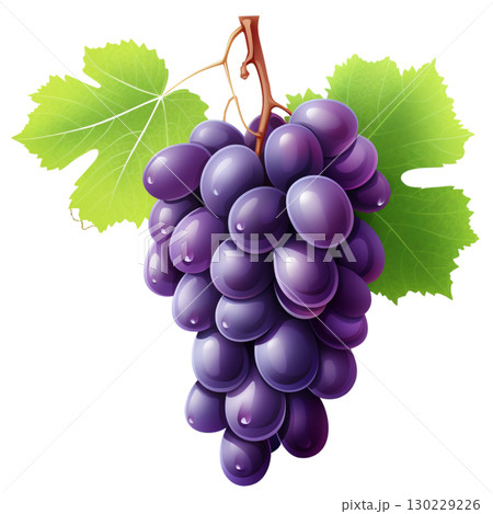 grape 130229226