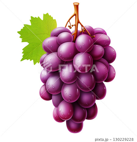 grape 130229228