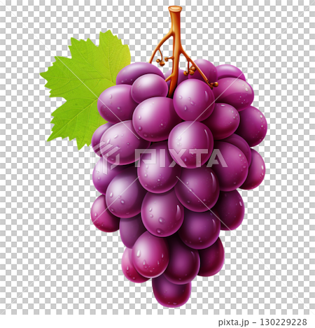 grape 130229228
