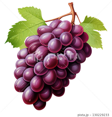 grape 130229233