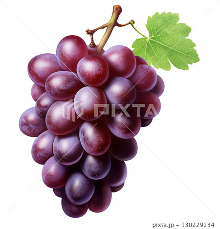 grape 130229234