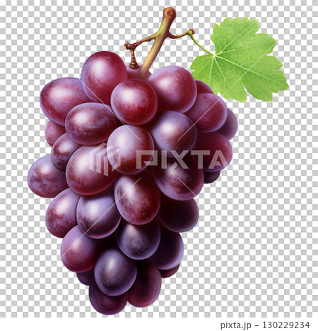 grape 130229234