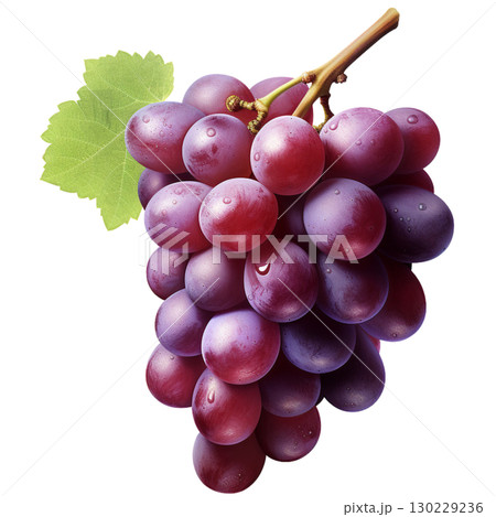 grape 130229236
