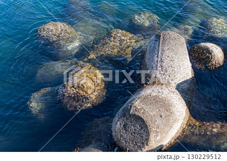 海岸線に並ぶテトラポッド 130229512