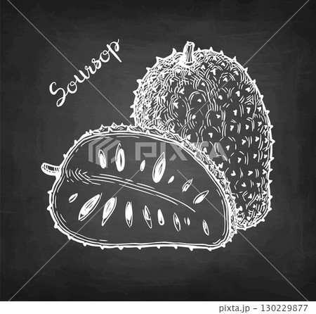 Whole and halved soursop chalk sketch. 130229877