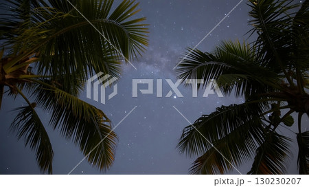 Tropical palms framing a starry night sky with soft cloud cover creating a serene outdoor atmosphere 130230207