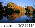 Colorful autumn trees in river 130230410