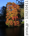 Autumn landscape with a river in the city 130230411