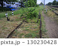 Abandoned railroad 130230428