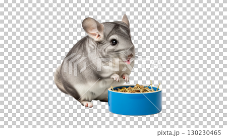 A chinchilla sits upright on its back legs, curiously licking its lips. It is positioned near a bowl filled with dry food, displaying an inquisitive and playful demeanor. 130230465