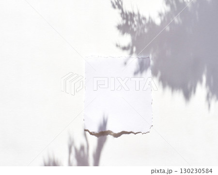 Blank torn paper on white surface with natural shadow overlay from leaf 130230584