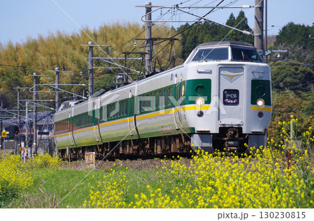 黄色い菜の花が満開の山陰本線を灰色の車体に緑色の太いラインと黄色の細いラインの緑やくもが通過する光景 130230815