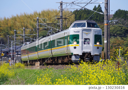 黄色い菜の花が満開の山陰本線を灰色の車体に緑色の太いラインと黄色の細いラインの緑やくもが通過する光景 130230816