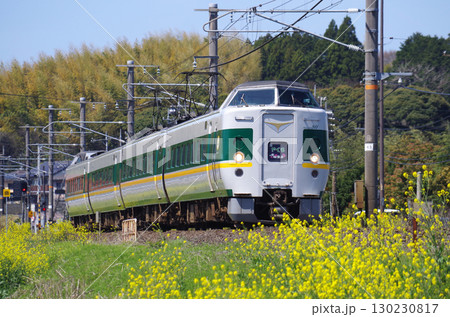 黄色い菜の花が満開の山陰本線を灰色の車体に緑色の太いラインと黄色の細いラインの緑やくもが通過する光景 黄色い菜の花が満開の山陰本線を灰色の車体に緑色の太いラインと黄色の細いラインの緑やくもが通過する光景 130230817