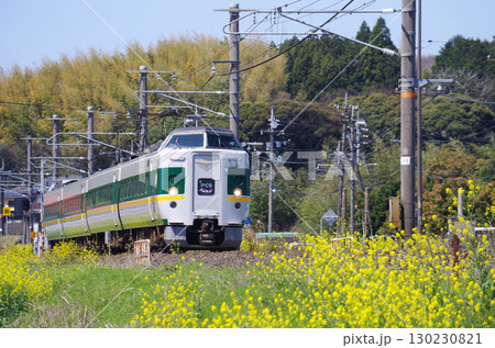 黄色い菜の花が満開の山陰本線を灰色の車体に緑色の太いラインと黄色の細いラインの緑やくもが通過する光景 130230821