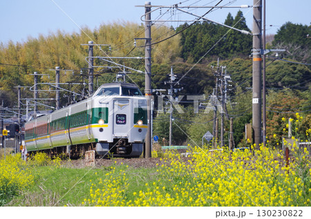 黄色い菜の花が満開の山陰本線を灰色の車体に緑色の太いラインと黄色の細いラインの緑やくもが通過する光景 130230822