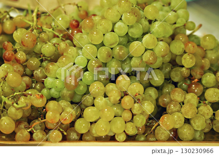 Fresh and vibrant grapes , showcasing a mix of colors. Perfect for healthy eating and fruit imagery. 130230966