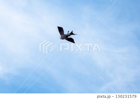 Kite in a blue sky. Black bird kite flying among the clouds. Happy growing years moment. Outdoor time spending. Freedom and summer holiday. Childhood dream. Kite in a blue sky. Black bird kite flying among the clouds. Happy growing years moment. Outdoor time spending. Freedom and summer holiday. Childhood dream. 130231579