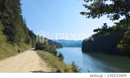 Scenic dirt road winding along lake shore surrounded by lush green forest 130231605