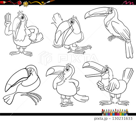 cartoon toucans birds wild animal characters set coloring page 130231633