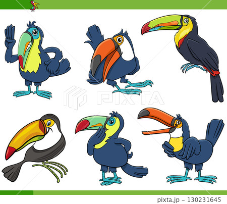 cartoon toucans birds wild animal characters set cartoon toucans birds wild animal characters set 130231645