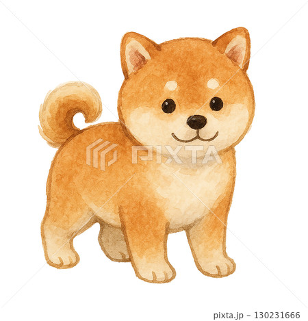 子犬風のかわいい柴犬イラスト(透過PNG) 子犬風のかわいい柴犬イラスト(透過PNG) 130231666