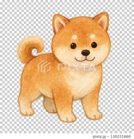 子犬風のかわいい柴犬イラスト(透過PNG) 子犬風のかわいい柴犬イラスト(透過PNG) 130231666