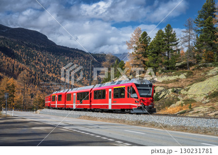 Red Bernina Express train passing through colorful autumn forest 130231781