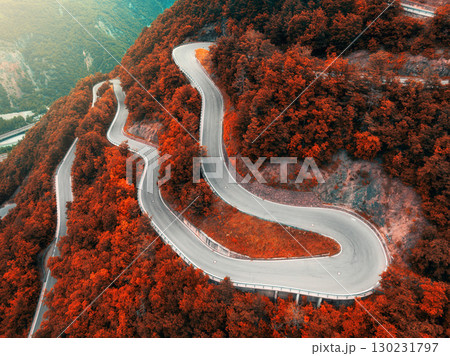 Aerial view of mountain curvy road and red forest in autumn Aerial view of mountain curvy road and red forest in autumn 130231797