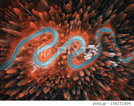 Aerial view of mountain curvy road and red forest in autumn Aerial view of mountain curvy road and red forest in autumn 130231804