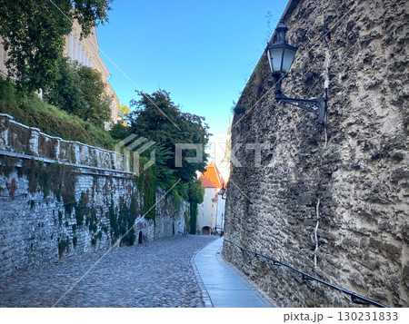 エストニア　タリン旧市街 130231833