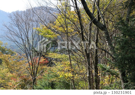 秋の石鎚山系  秋の石鎚山系  130231901