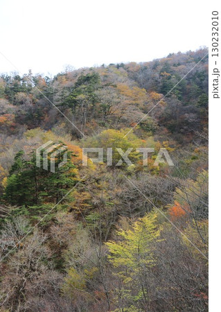 秋の石鎚山系  130232010